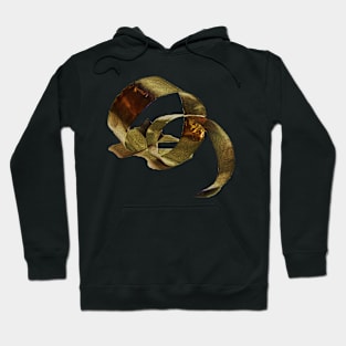 Glimmer of gold Hoodie